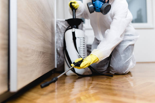 Best Wasp Removal Services  in East Atlantic Beach, NY