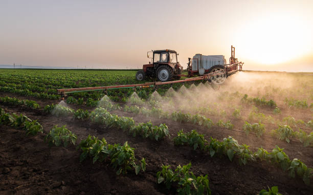 Best Mosquito Control Services  in East Atlantic Beach, NY