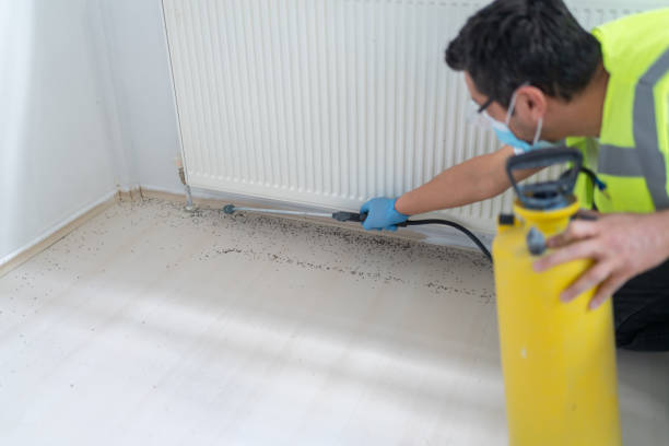 Best Residential Pest Control  in East Atlantic Beach, NY
