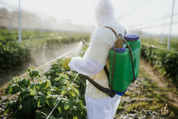 Best Commercial Pest Control Services  in East Atlantic Beach, NY